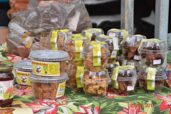 Projeto Caminho da Ro&ccedil;a foi um sucesso no S&atilde;o Jo&atilde;o de Serrinha 2017