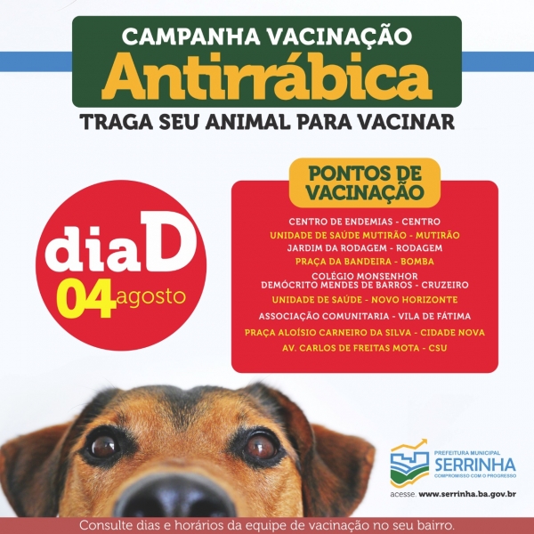 Dia &ldquo;D&rdquo; de vacina&ccedil;&atilde;o antirr&aacute;bica nesse s&aacute;bado em Serrinha